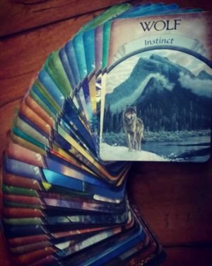 Oracle Card Reading